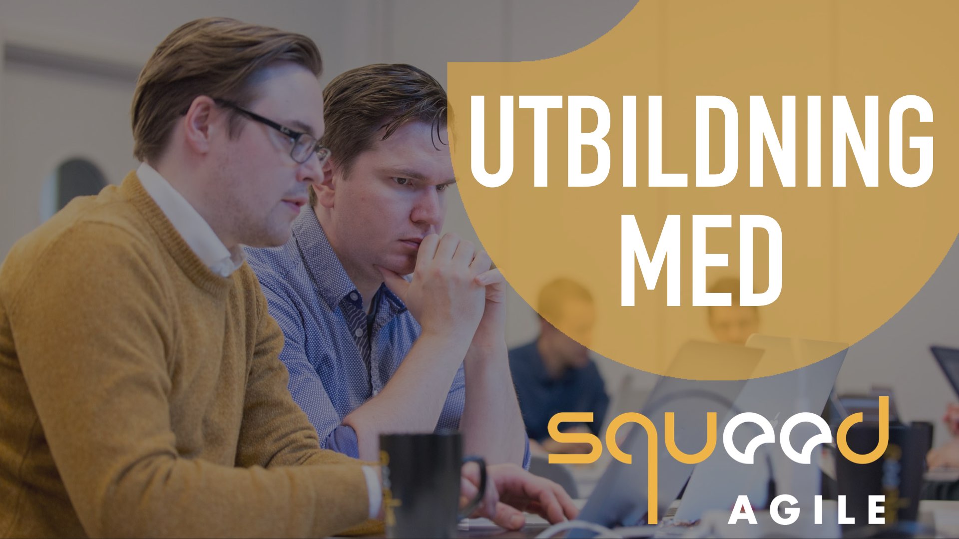 Product Owner and Agile Requirement